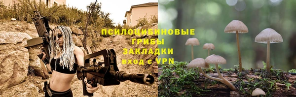 дурь Липки