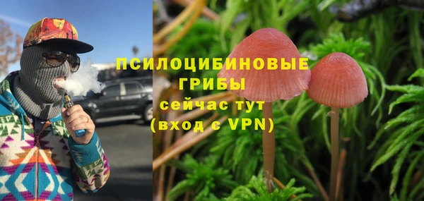 mdpv Лиски