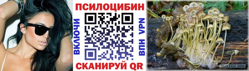 mega ссылки  Северск  Галлюциногенные грибы Magic Shrooms 
