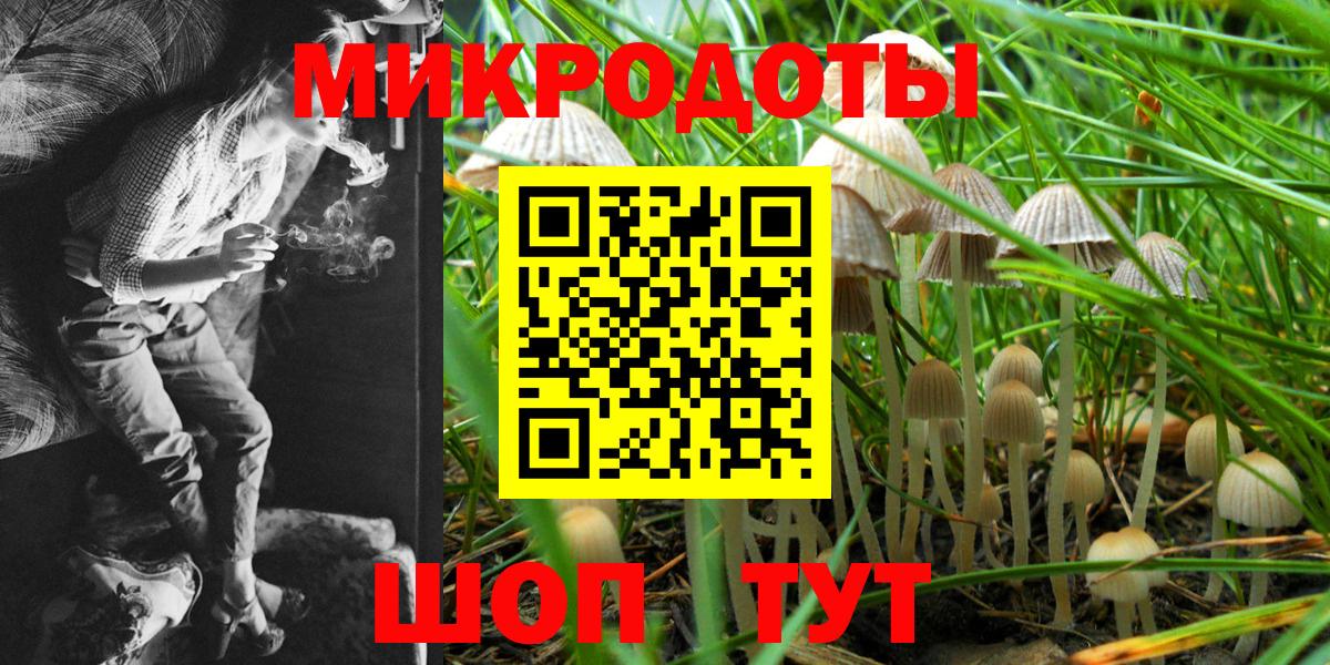 Псилоцибиновые грибы Magic Shrooms Северск