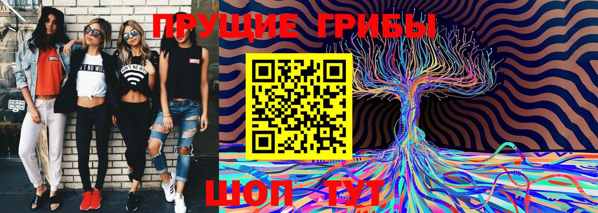 Псилоцибиновые грибы MAGIC MUSHROOMS  Вход с VPN  Северск 